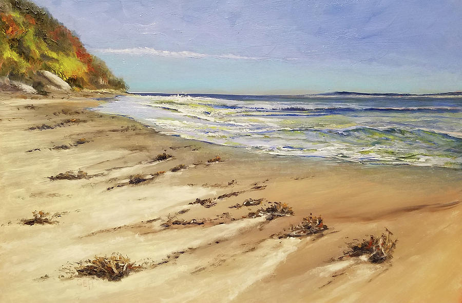 Beach Painting - Ebb Tide by Susan E Hanna