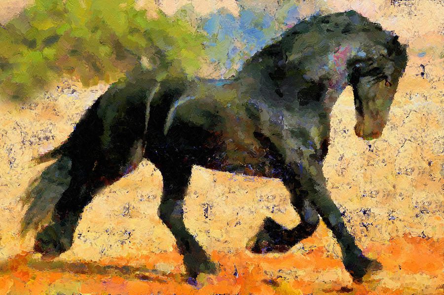 Ebony The Horse - Abstract Expressionism Mixed Media by Georgiana Romanovna