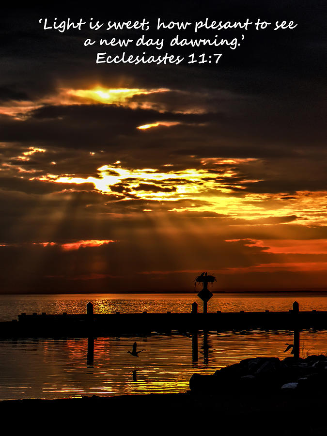 Nature Photograph - Ecclesiastes by Chris Mitchell