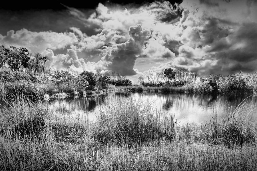 Everglades Lake 5678BW Photograph by Rudy Umans