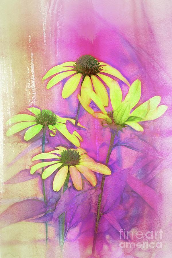 Echinacea - a12t3c9 Digital Art by Variance Collections