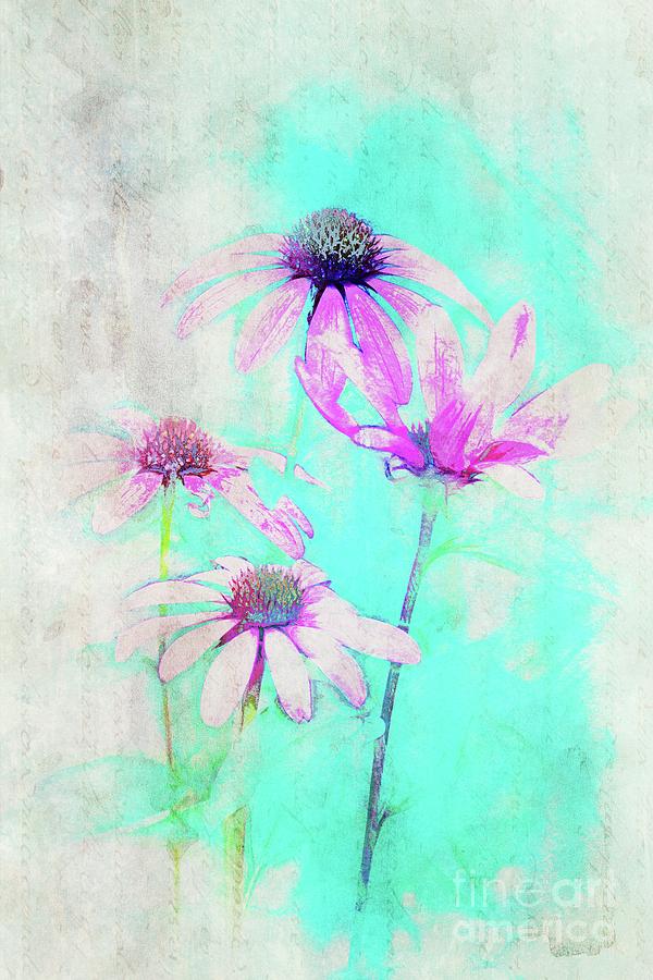 Echinacea - a21t25 Digital Art by Variance Collections