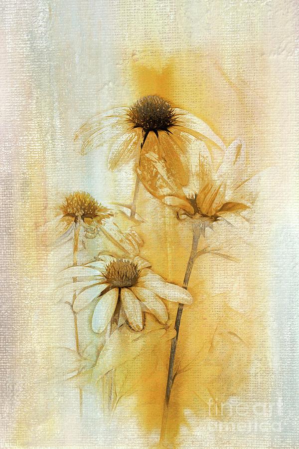 Echinacea - a221t3 Digital Art by Variance Collections