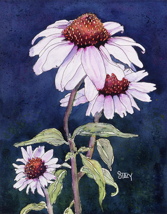 Echinacea Painting by Stacy Egan | Fine Art America