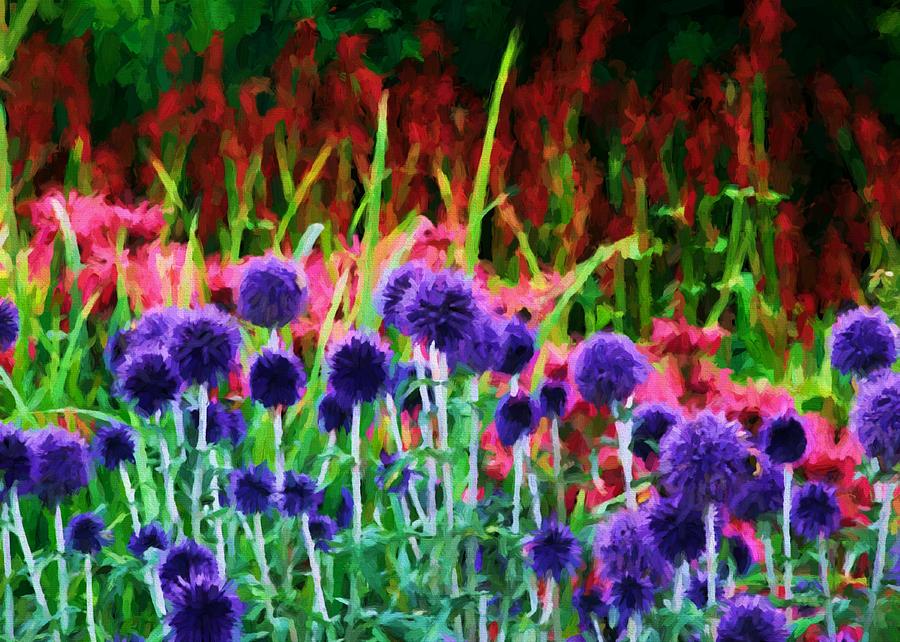 Echinops Border Digital Art by Charmaine Zoe