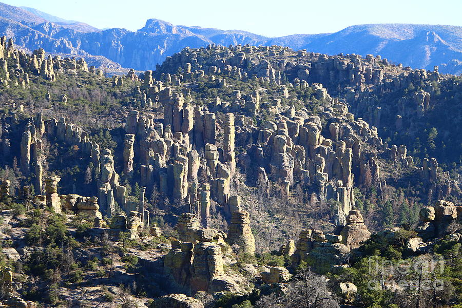 Echo Canyon - Chiricahua N M Photograph by Christiane Schulze Art And Photography