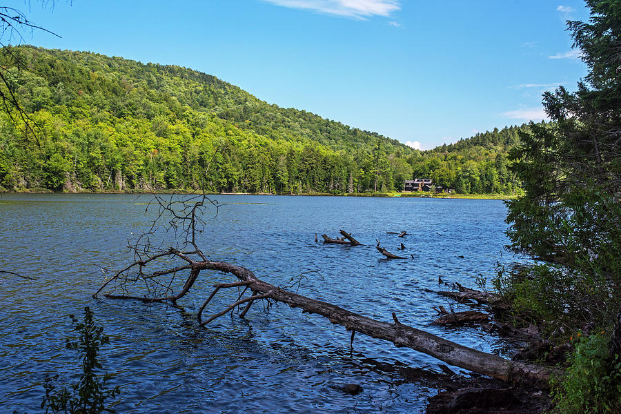 Echo Lake Lake Placid NY New York Cobble Lookout Trail Fallen Tree Photograph by Toby McGuire