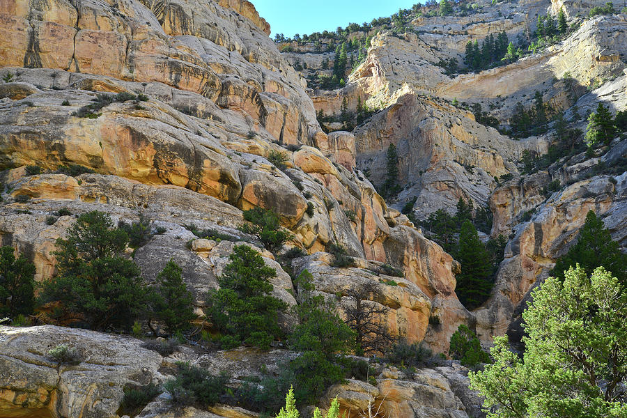 Echo Park Canyon in Dinosaur National Monument Photograph by Ray Mathis