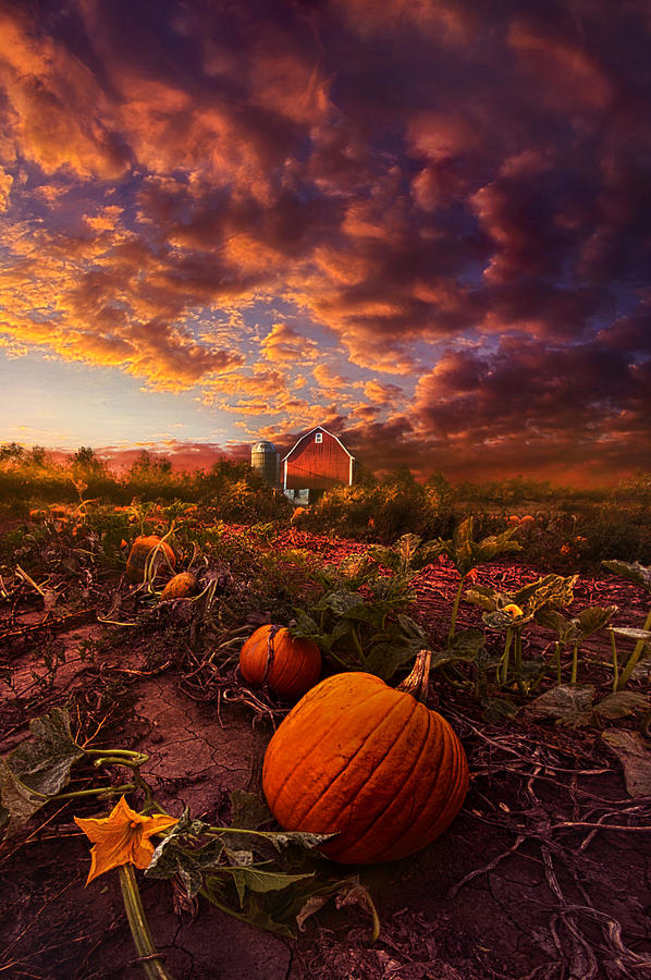 Halloween Photograph - Echos You Can See by Phil Koch