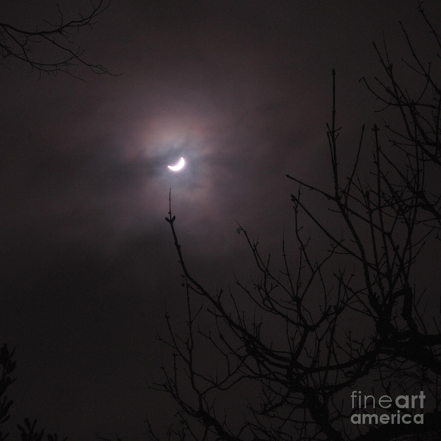 Eclipse 2015 - 1 Photograph by Jeremy Hayden