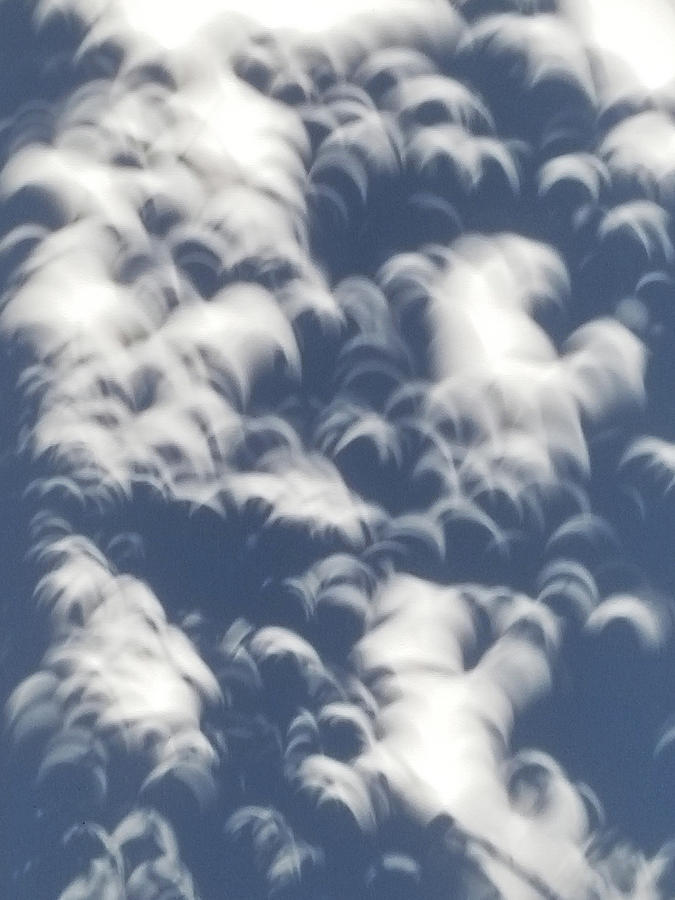 Eclipse Crescents Photograph by Carla Parris