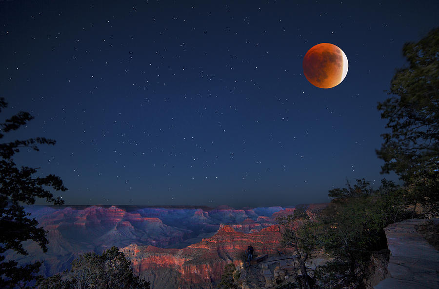 Eclipse Over the Grand Canyon Photograph by Janet Ballard