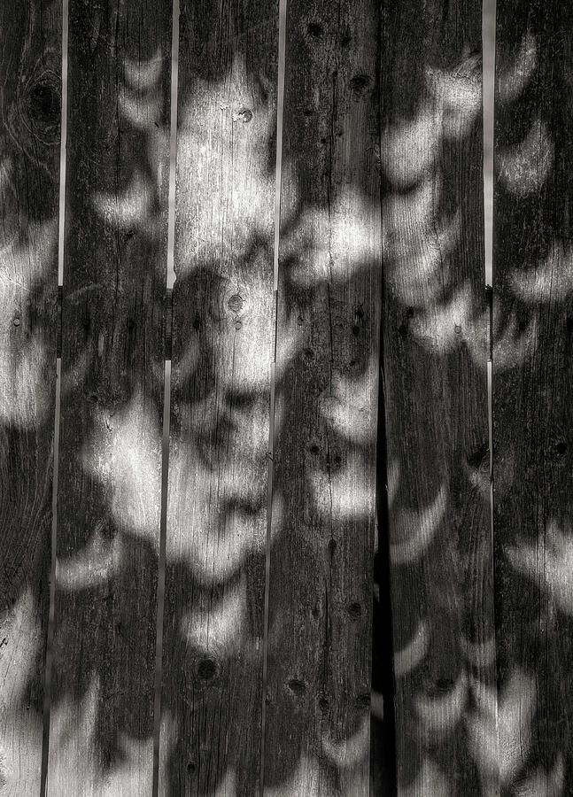 Eclipse Pattern 1 Photograph by David Smith
