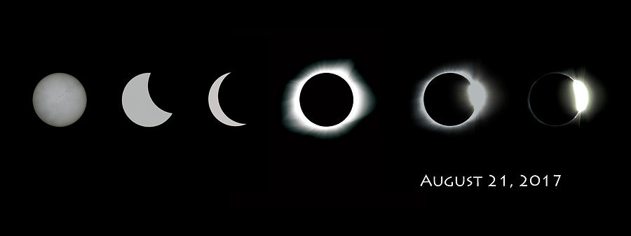 Eclipse Progression Photograph by Leah Palmer