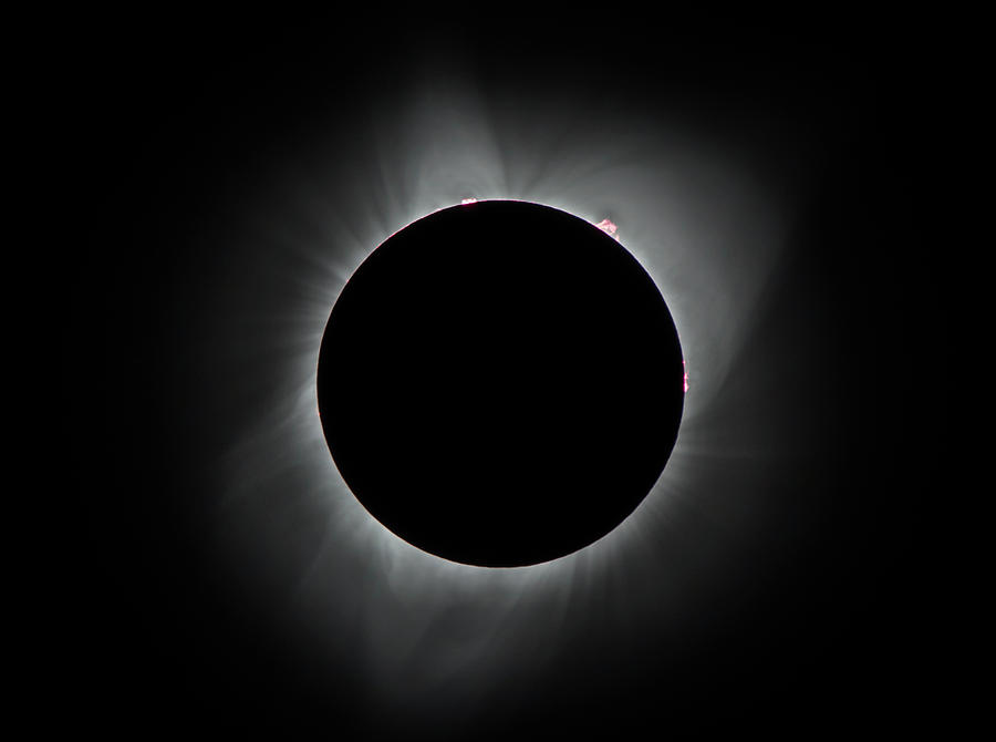 Eclipse Prominences Photograph by Marc Crumpler
