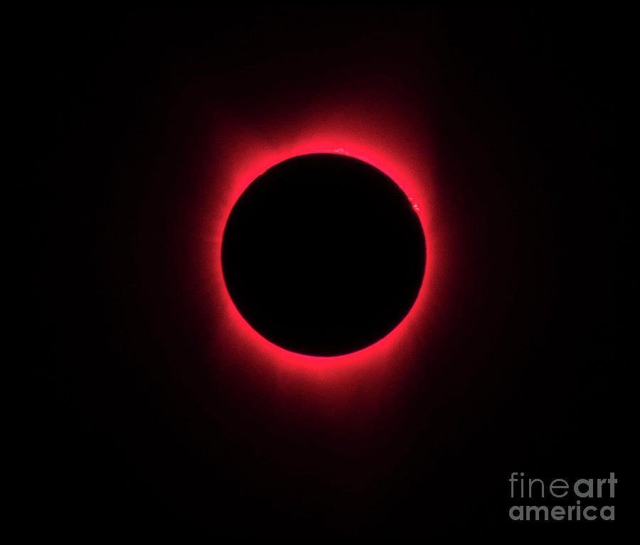 Eclipse Photograph by FineArtRoyal Joshua Mimbs