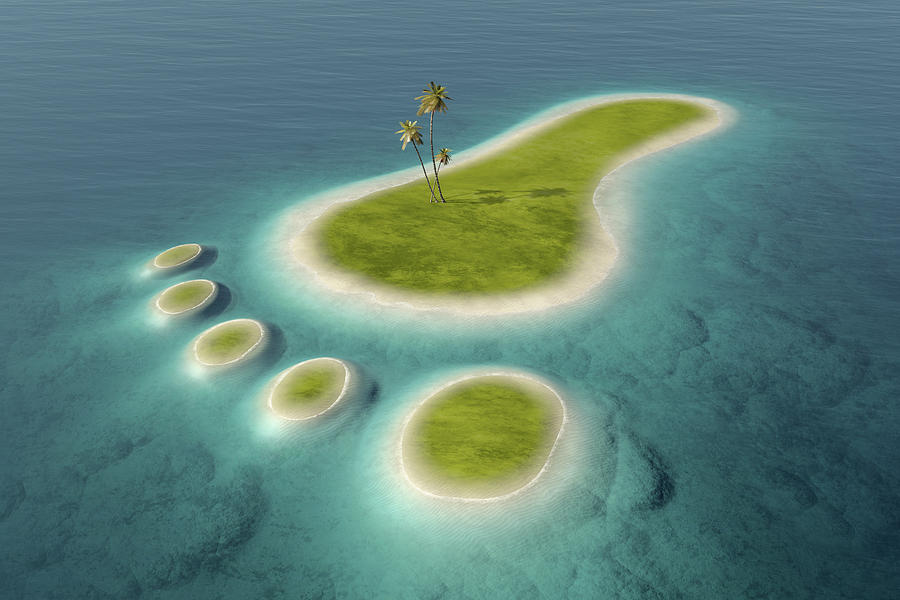 Tree Photograph - Eco footprint shaped island by Johan Swanepoel