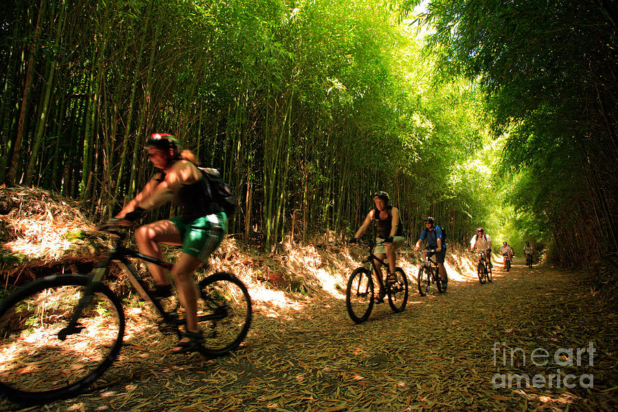 Biking Photograph - Eco-tourism by Gaspar Avila Biking Photograph - Eco-tourism by Gaspar Avila