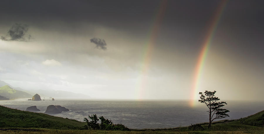 Ecola Double-Rainbow Photograph by Don Schwartz