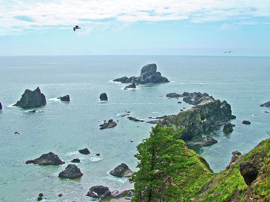 Ecola Point in Ecola State Park, Oregon Photograph by Ruth Hager