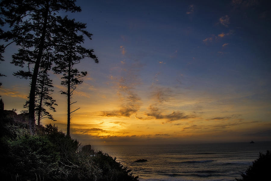 Ecola State Park Sunset Photograph by LaRue Ilona | Fine Art America