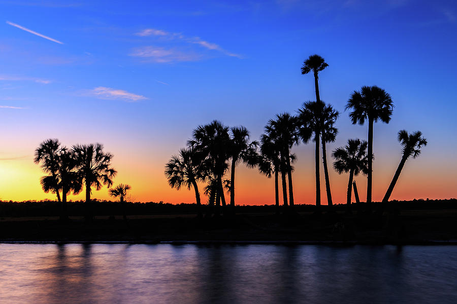 Econ Palms at Sunset Photograph by Stefan Mazzola