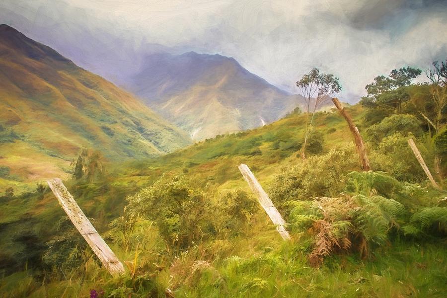 Ecuadorian Mountain Forest by Janice Bennett Ecuadorian Mountain Forest by Janice Bennett