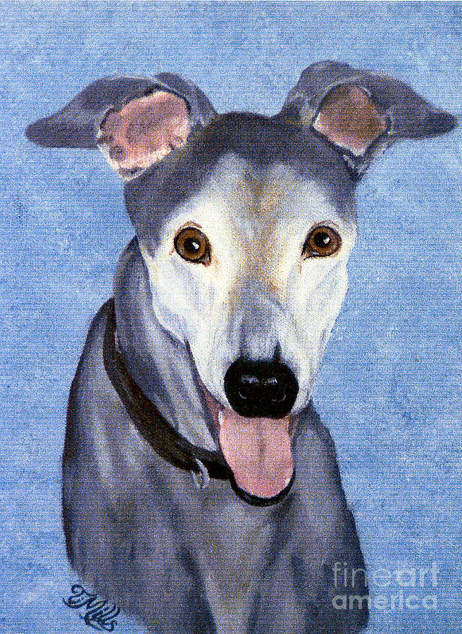 Eddie - Greyhound Painting by Terri Mills