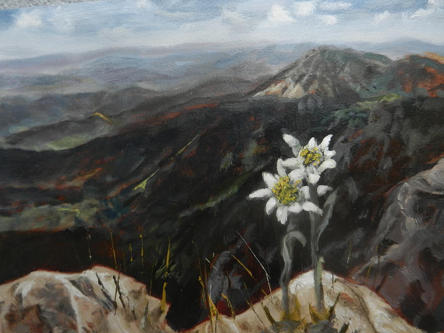 Edelweiss Moment Painting by Joyce Snyder
