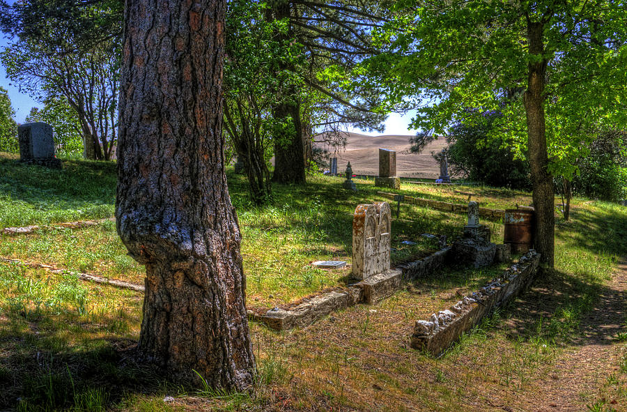Eden Valley Cemetery Photograph by Lee Santa
