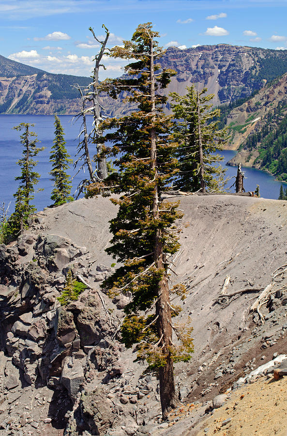 Edge of Crater Lake Photograph by Tikvahs Hope