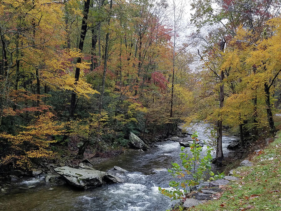 Edge of River in Middle of Fall Photograph by Jeff Wolfe - Fine Art America