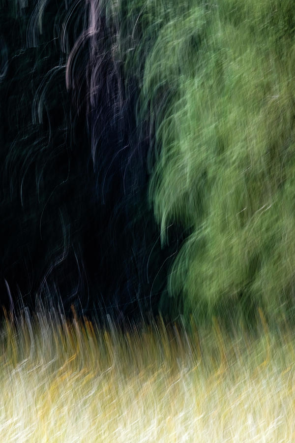 Impressionism Photograph - Edge Of The Forest by Deborah Hughes