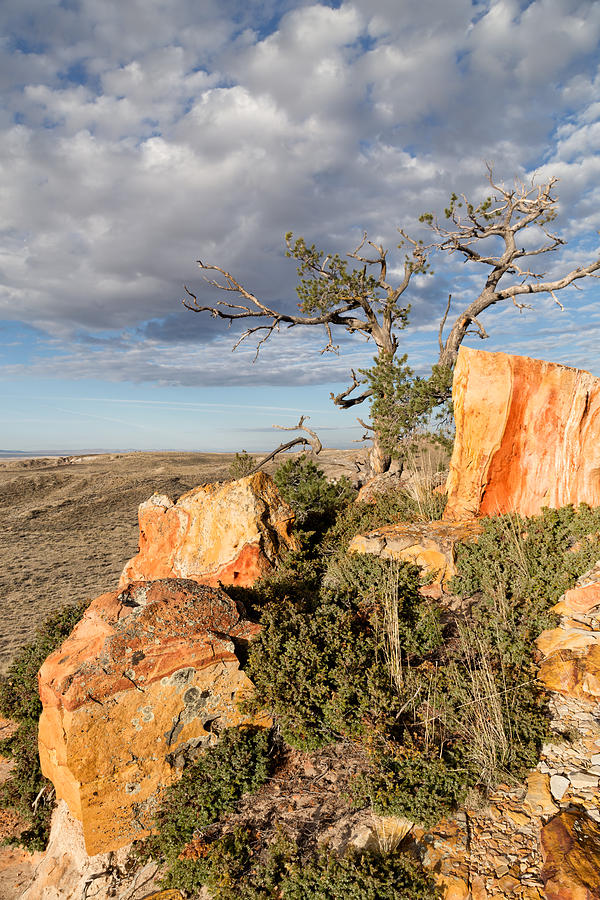 Edge of the Mesa Photograph by Kathleen Bishop