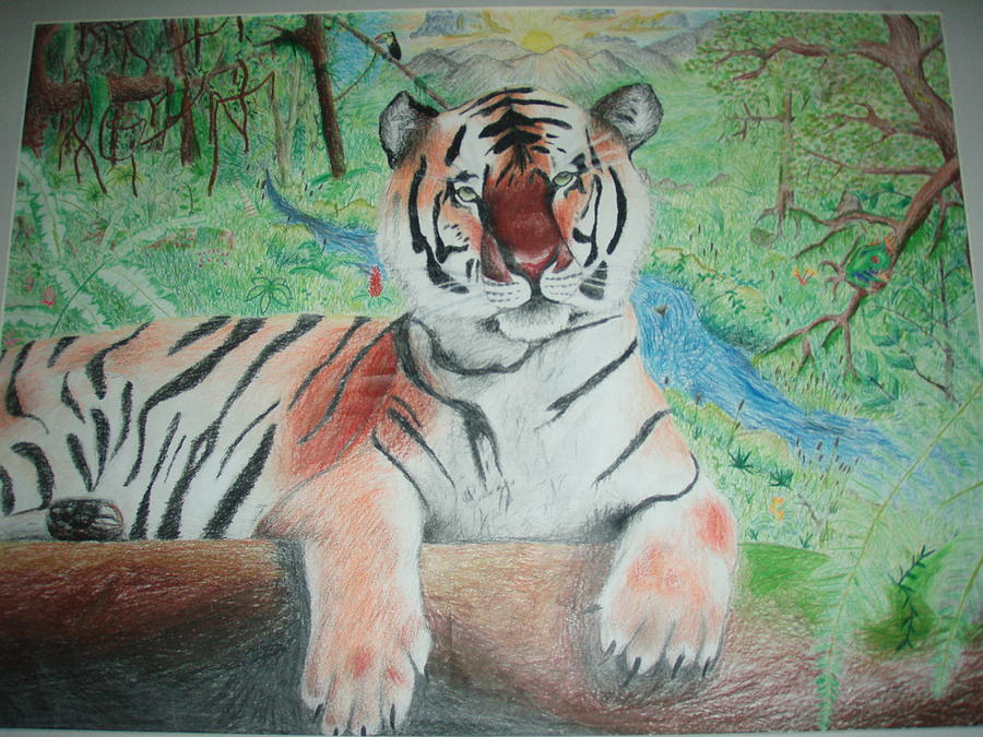 Tiger Drawing - Edge of the Rainforest by Gabriel  Palcic