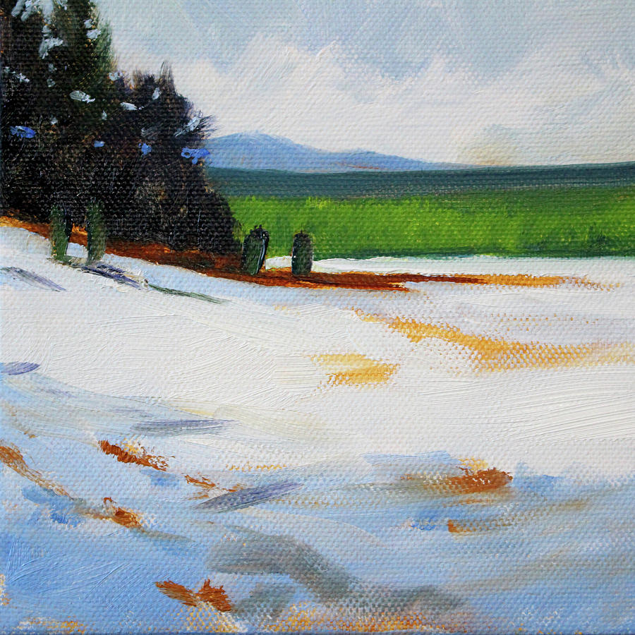 Edge of the Snow Field Painting by Nancy Merkle