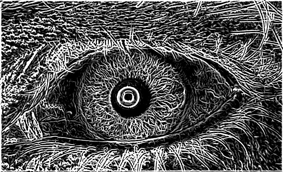 Edgey Eye In Black In White Painting by Bill McClurg