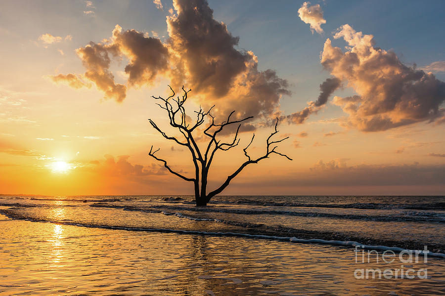 Edisto Island Sunrise I Photograph by Clarence Holmes