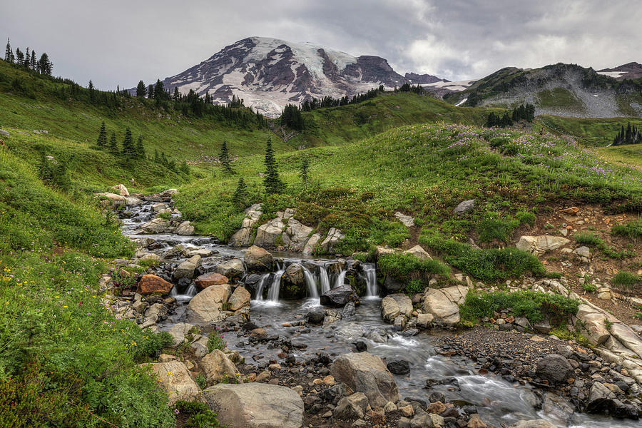 Edith Creek and Mount Rainier Photograph by Mark Kiver