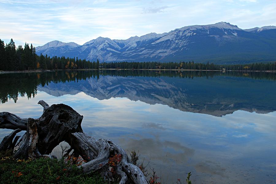 Edith Lake Reflections Photograph by Larry Ricker