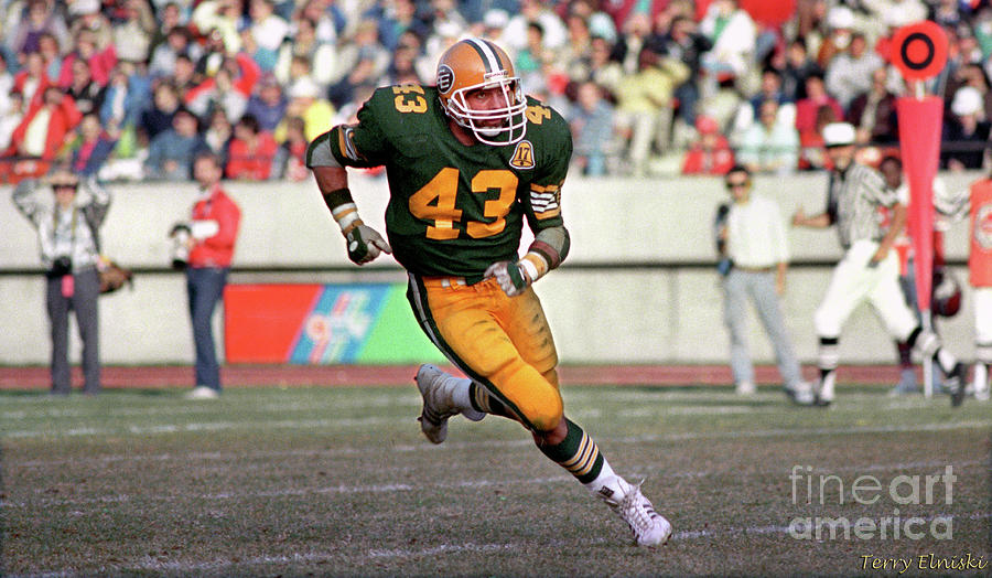 Edmonton Eskimos Football - Craig Shaffer 2 - 1986 Photograph by Terry ...