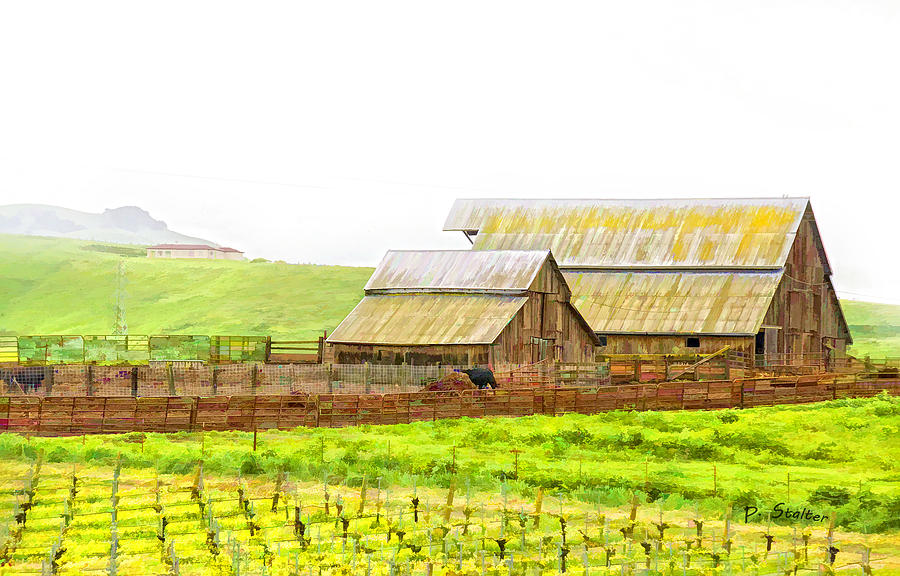 Vineyard Digital Art - Edna Valley Ranch by Patricia Stalter Vineyard Digital Art - Edna Valley Ranch by Patricia Stalter