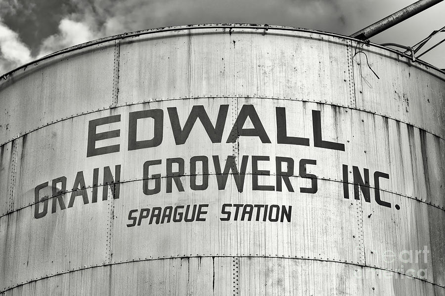 Edwall Grain bw Photograph by Jerry Fornarotto