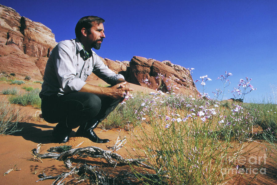 Edward Abbey, author of Desert Solitaire, 1969 Photograph by The Harrington Collection