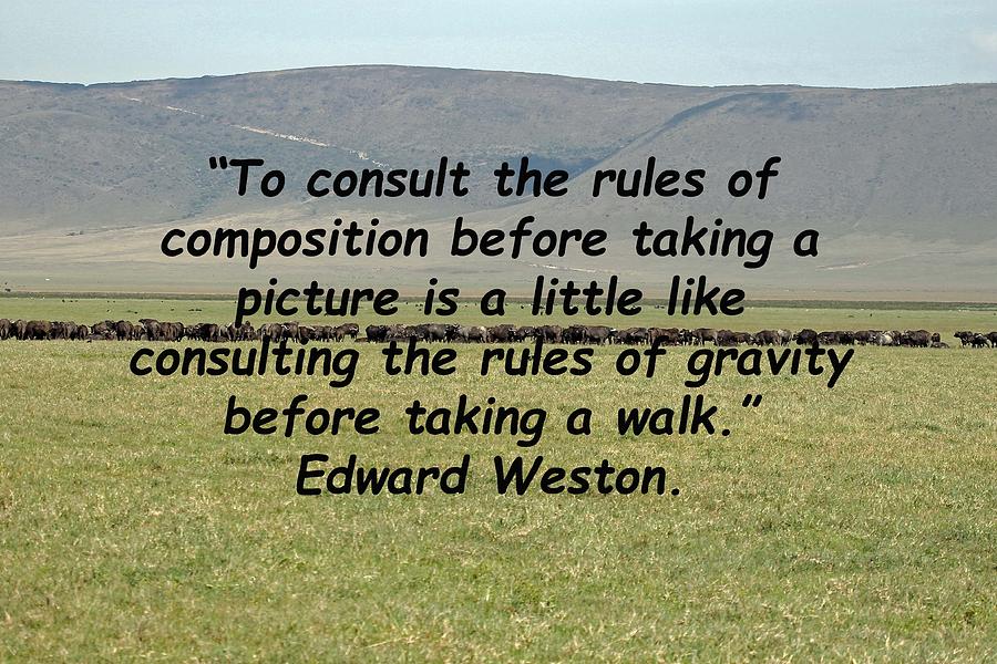 Edward Weston Quote Photograph by Tony Murtagh