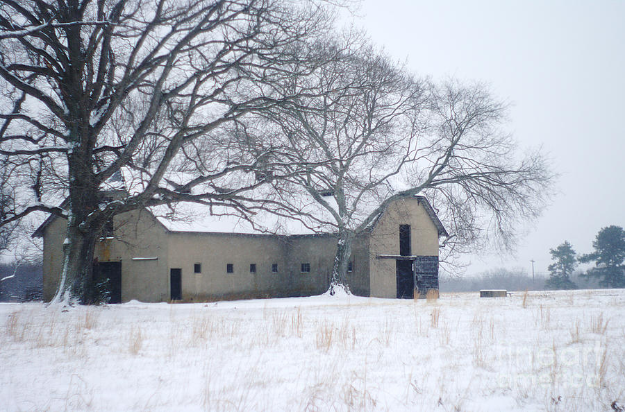 Edwardian Barn In The Snow Photograph by Suzanne Powers