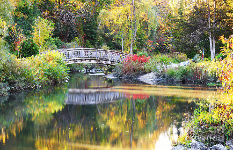Fall Color Reflections around Wood Bridge Photograph by Charline Xia