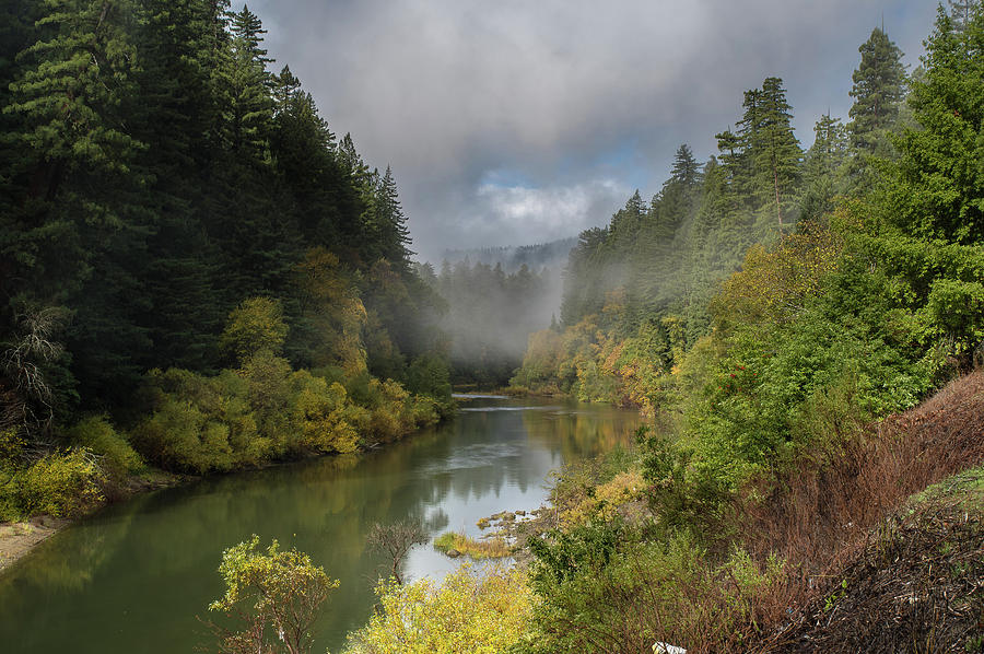 Eel River Autumnal Redwood Glory 3 Photograph by Greg Nyquist