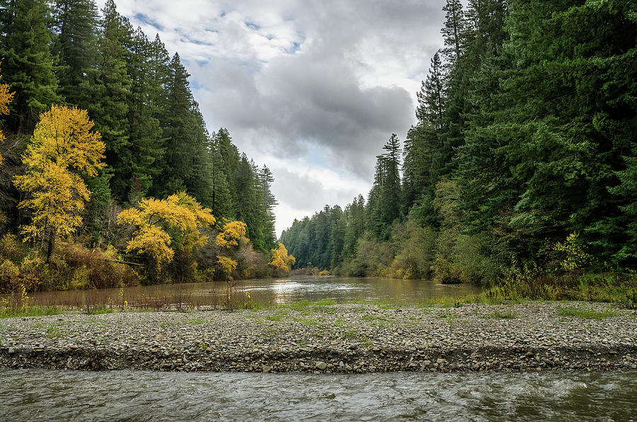 Eel River from Bull Creek Photograph by Greg Nyquist