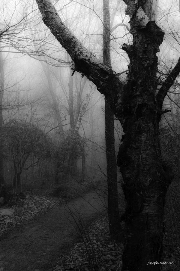 Eerie Stillness Photograph by Joseph Noonan